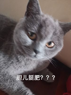 DƬ
